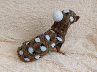 Pet costume with sheep sweater and hat with pompom, dog warm wool set clothes with sheep ram