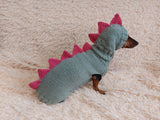 Dinosaur Dragon Costume Sweater and Hat Zoo Animal Clothes