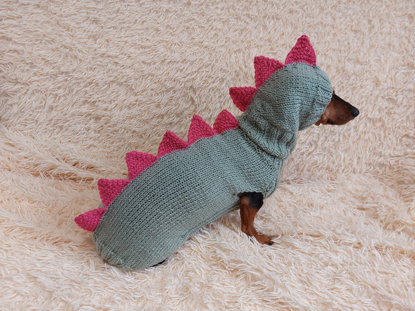 Dinosaur Dragon Costume Sweater and Hat Zoo Animal Clothes