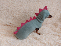 Dinosaur Dragon Costume Sweater and Hat Zoo Animal Clothes