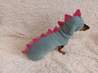 Dinosaur Dragon Costume Sweater and Hat Zoo Animal Clothes