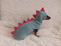 Dinosaur Dragon Costume Sweater and Hat Zoo Animal Clothes