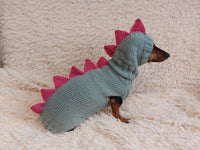 Dinosaur Dragon Costume Sweater and Hat Zoo Animal Clothes