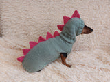 Dinosaur Dragon Costume Sweater and Hat Zoo Animal Clothes