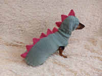 Dinosaur Dragon Costume Sweater and Hat Zoo Animal Clothes