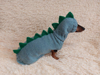 Dinosaur costume for dogs, dachshund dinosaur costume sweater and hat, dino dog cloches, dino dog sweater