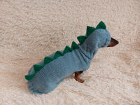 Dinosaur costume for dogs, dachshund dinosaur costume sweater and hat, dino dog cloches, dino dog sweater