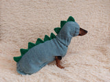 Dinosaur costume for dogs, dachshund dinosaur costume sweater and hat, dino dog cloches, dino dog sweater