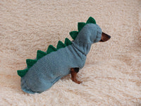 Dinosaur costume for dogs, dachshund dinosaur costume sweater and hat, dino dog cloches, dino dog sweater