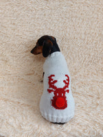Christmas deer sweater for dog, christmas deer sweater for miniature dachshund, christmas dog clothes