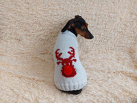 Christmas deer sweater for dog, christmas deer sweater for miniature dachshund, christmas dog clothes