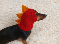 Dinosaur hat for dog, dinosaur dachshund knitted hat, dino dog clothes