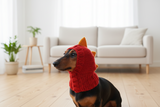 Dinosaur hat for dog, dinosaur dachshund knitted hat, dino dog clothes