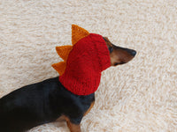 Dinosaur hat for dog, dinosaur dachshund knitted hat, dino dog clothes