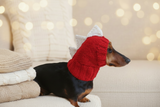 Dinosaur hat for dog, dinosaur dachshund knitted hat, dino dog clothes