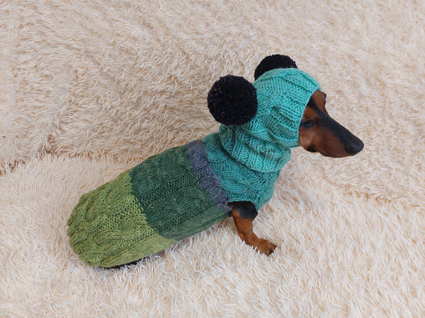 Pet Costume with Aran and Pom Poms Sweater and Hat Set of Dog Clothes