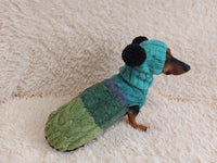 Pet Costume with Aran and Pom Poms Sweater and Hat Set of Dog Clothes