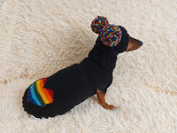 Dachshund costume with multicolored heart and multicolored pompom,knitted dog clothes rainbow sweater and hat for pet