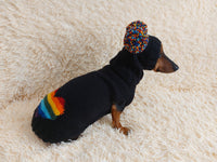 Dachshund costume with multicolored heart and multicolored pompom,knitted dog clothes rainbow sweater and hat for pet