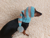 Christmas Santa Hat For Pet With Pompom Holiday Clothes Dog Hat