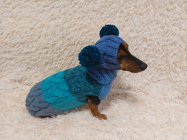 Pet Costume with Aran and Pom Poms Sweater and Hat Set of Dog Clothes