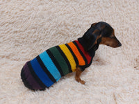 Rainbow striped dachshund sweater, rainbow dog clothes, knitted rainbow striped dachshund jumper
