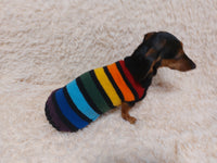 Rainbow striped dachshund sweater, rainbow dog clothes, knitted rainbow striped dachshund jumper