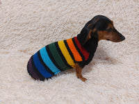 Rainbow striped dachshund sweater, rainbow dog clothes, knitted rainbow striped dachshund jumper