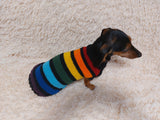 Rainbow striped dachshund sweater, rainbow dog clothes, knitted rainbow striped dachshund jumper