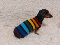 Rainbow striped dachshund sweater, rainbow dog clothes, knitted rainbow striped dachshund jumper