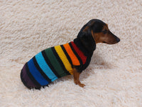 Rainbow striped dachshund sweater, rainbow dog clothes, knitted rainbow striped dachshund jumper