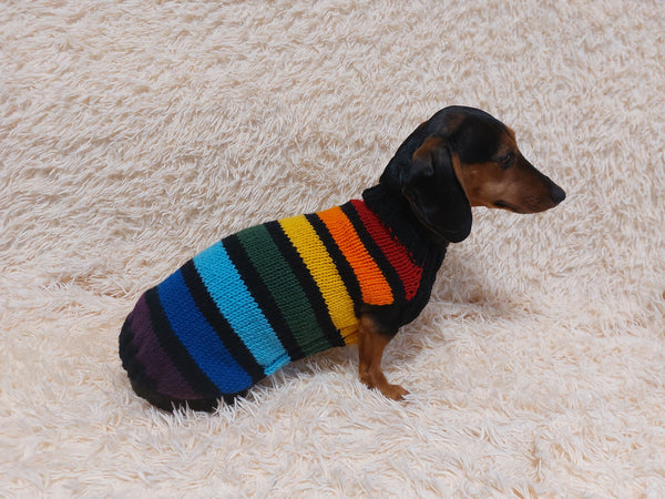 Rainbow striped dachshund sweater, rainbow dog clothes, knitted rainbow striped dachshund jumper