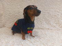 Pet clothes with cherries dog sweater with cherries