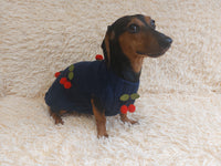 Pet clothes with cherries dog sweater with cherries