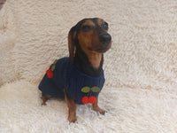 Pet clothes with cherries dog sweater with cherries