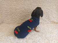 Pet clothes with cherries dog sweater with cherries