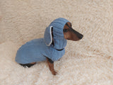 Alpaca Wool Rabbit Pet Costume and Hat with Ears--Sweater and Hat Set with Dog Ears