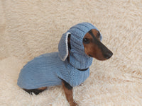 Alpaca Wool Rabbit Pet Costume and Hat with Ears--Sweater and Hat Set with Dog Ears