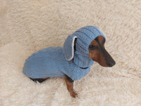 Alpaca Wool Rabbit Pet Costume and Hat with Ears--Sweater and Hat Set with Dog Ears