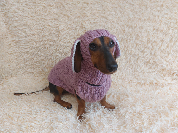 Alpaca Wool Rabbit Pet Costume and Hat with Ears--Sweater and Hat Set with Dog Ears
