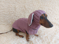Alpaca Wool Rabbit Pet Costume and Hat with Ears--Sweater and Hat Set with Dog Ears