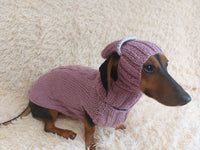 Alpaca Wool Rabbit Pet Costume and Hat with Ears--Sweater and Hat Set with Dog Ears