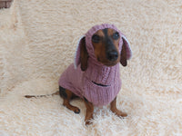 Alpaca Wool Rabbit Pet Costume and Hat with Ears--Sweater and Hat Set with Dog Ears