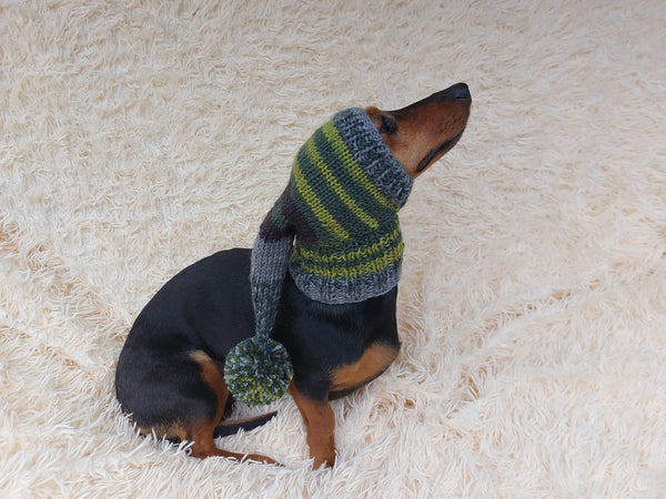 Knitted hat with pom pom for dogs, dachshund hat
