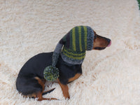 Knitted hat with pom pom for dogs, dachshund hat