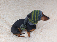 Knitted hat with pom pom for dogs, dachshund hat