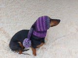 Santa Claus Dog Hat with Pompom, Dog Elf Hat, Dog Elf Hat, Dog Christmas Hat, Santa Dog Hat, Elf Dog Outfit, doxie clothes, doxie hat