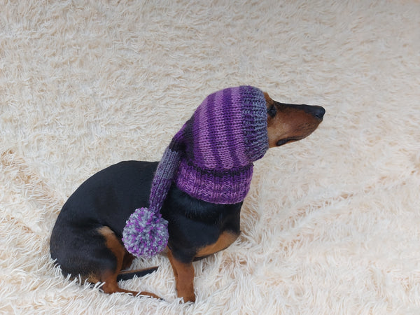 Santa Claus Dog Hat with Pompom, Dog Elf Hat, Dog Elf Hat, Dog Christmas Hat, Santa Dog Hat, Elf Dog Outfit, doxie clothes, doxie hat