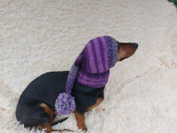 Santa Claus Dog Hat with Pompom, Dog Elf Hat, Dog Elf Hat, Dog Christmas Hat, Santa Dog Hat, Elf Dog Outfit, doxie clothes, doxie hat