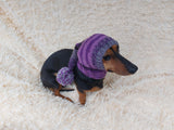 Santa Claus Dog Hat with Pompom, Dog Elf Hat, Dog Elf Hat, Dog Christmas Hat, Santa Dog Hat, Elf Dog Outfit, doxie clothes, doxie hat
